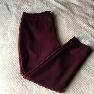 Chaus Burgundy ankle pant size XL with stretch